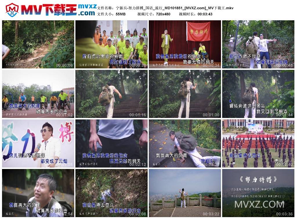 宁新兵-努力拼搏_国语_流行_MD101851